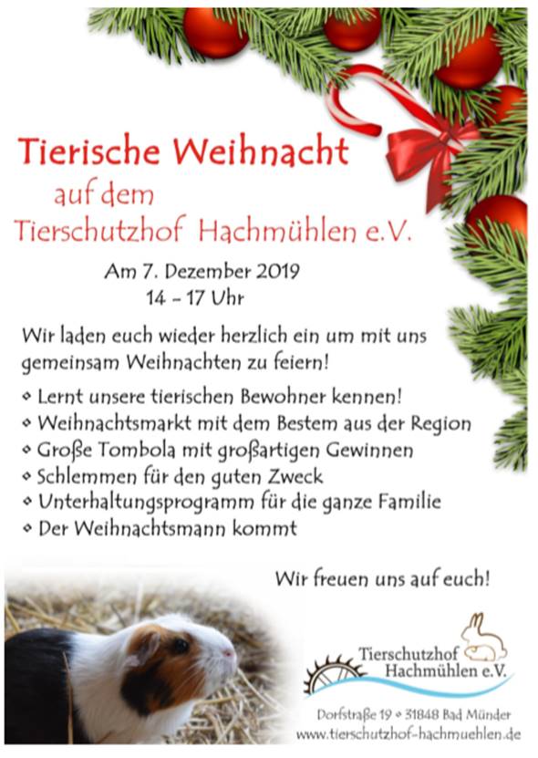 Tierische Weihnacht auf dem Tierschutzhof Hachmühlen @ Tierschutzhof Hachmühlen | Bad Münder am Deister | Niedersachsen | Deutschland